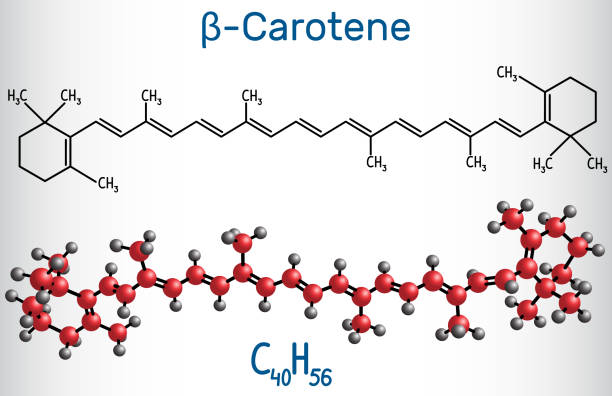 Beta Carotene, provitamin A, is an organic red-orange pigment in plants and fruits. Structural chemical formula and molecule model Beta Carotene, provitamin A, is an organic red-orange pigment in plants and fruits. Structural chemical formula and molecule model. Vector illustration carotene stock illustrations