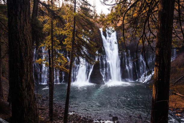 istock Beauty of Burney Falls 953449606