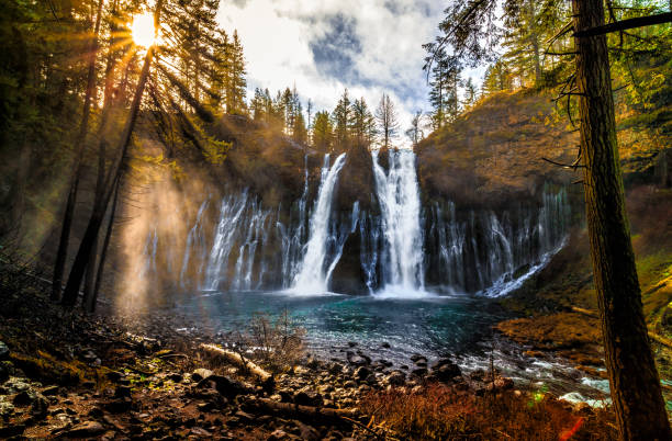 Sunrise on Burney Falls Taken in McArthur-Burney Falls Memorial State Park, California mt shasta photos stock pictures, royalty-free photos & images
