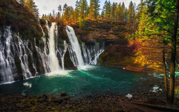 Burney Falls Taken in McArthur-Burney Falls Memorial State Park, California burney falls stock pictures, royalty-free photos & images