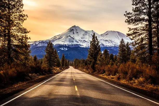 Photo of Road to Mount Shasta, California