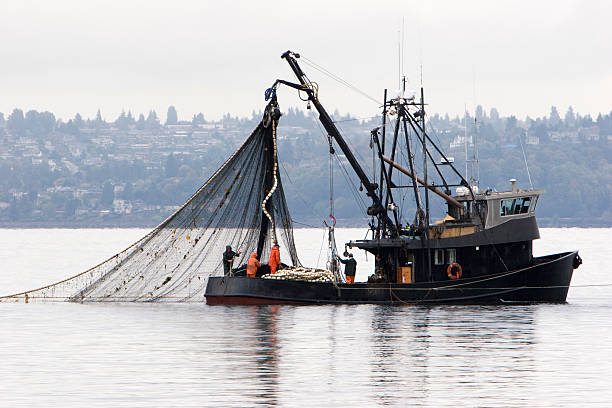 Part of fisherman's body, wearing blue pants and standing on a fishing boat while pulling the fishing nets in Koper, Slovenia.