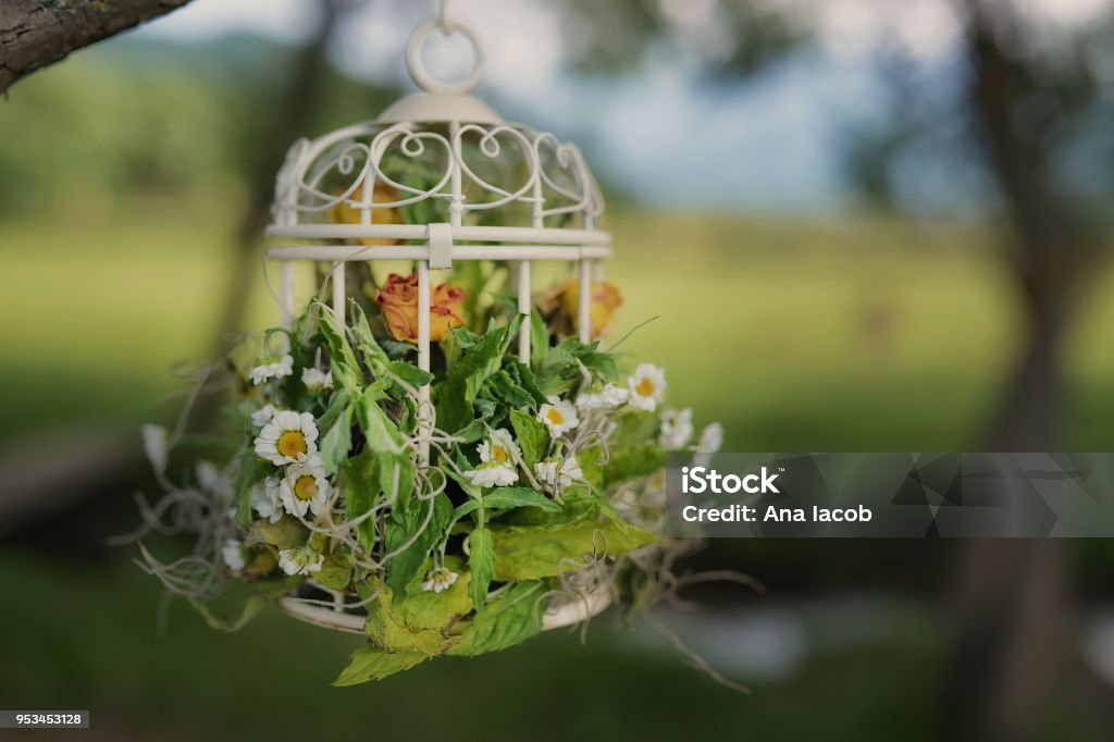 Decoración Natural Adornada Para Montajes Exterior Con Flores Secas En La Jaula De Pájaro Foto de stock y más banco de imágenes de Acontecimiento - iStock Decoración Natural Adornada Para Montajes Exterior Con Flores Secas En La Jaula De Pájaro Foto de stock y más banco de imágenes de Acontecimiento - iStock