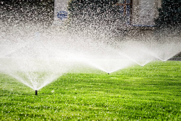 istock Sprinkler on the grass field 953455212