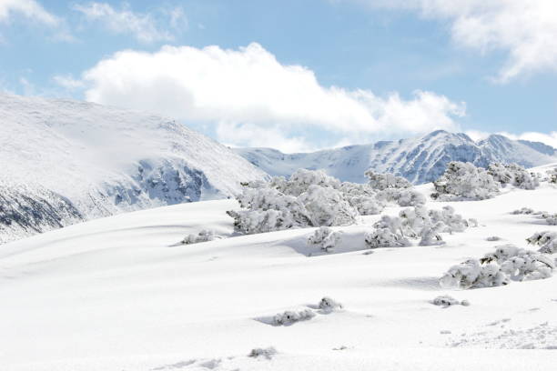 montagne innevate in bulgaria, monte musala, catena montuosa del rila. stazione sciistica di borovets - rila mountains foto e immagini stock