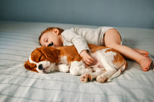 istock baby and puppy taking a power nap 953459578