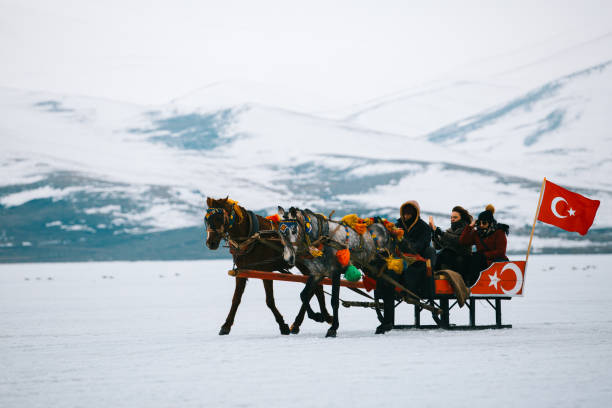Horse cart. Kars - Turkey - March 6, 2018: Sleigh pulled by a horse in lake frozen Cildir. Traditional Turkish winter fun. Cildir lake view at background. Taken on March 06.2018 in Cildir Lake , Kars , Turkey covered wagon horse cart snow winter stock pictures, royalty-free photos & images