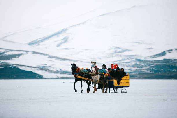 Horse cart. Kars - Turkey - March 6, 2018: Sleigh pulled by a horse in lake frozen Cildir. Traditional Turkish winter fun. Cildir lake view at background. Taken on March 06.2018 in Cildir Lake , Kars , Turkey covered wagon horse cart snow winter stock pictures, royalty-free photos & images