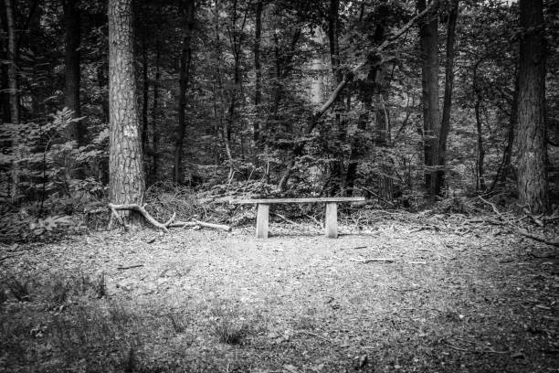 bench and lake; perfect place for relax.