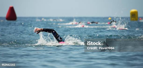 Group People In Wetsuit Swimming Stock Photo - Download Image Now - Swimming, Sea, Triathlon