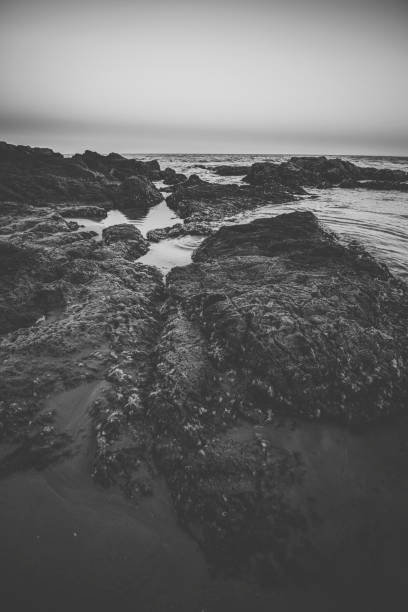 istock Coolum beach at the Sunshine Coast 953462690