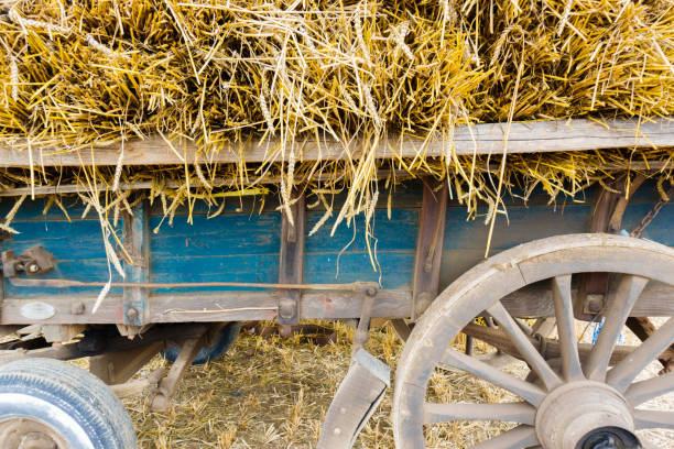 Close-up of cart full of hay stack