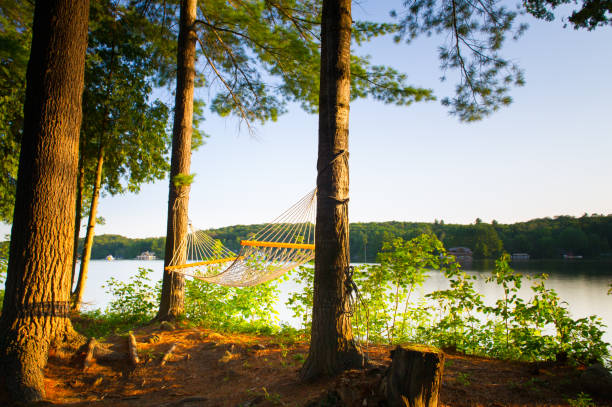 Hanging hammock near a lake in Canada stock photo