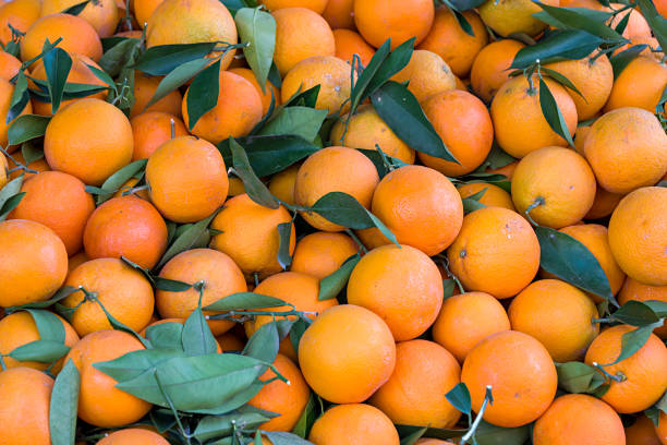 istock Oranges on a Turkish farmers 953466118