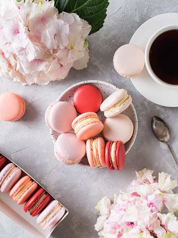 Spring mood still life with macaroons, flowers and cup of coffee on grey background,