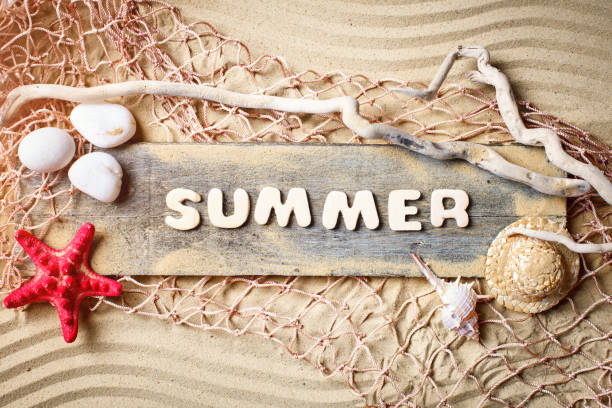 istock Landscape with shells on tropical beach. Rest on the beach. Travel 953468480