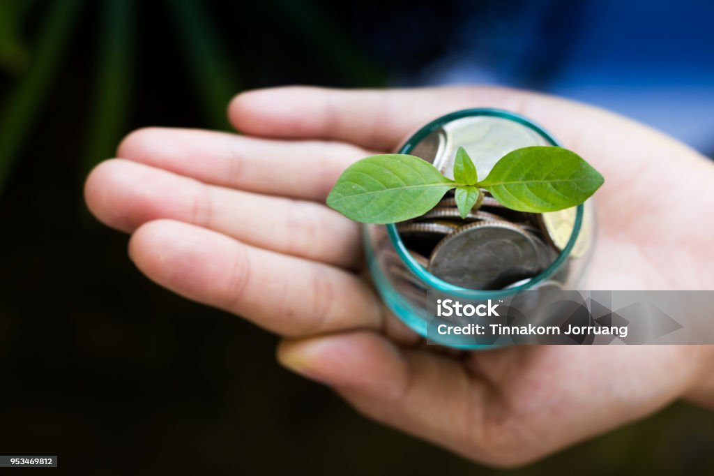 Pflanzen Sie wachsen von Geld (Münzen) in den Besitz eines Mannes Hand - Geschäft und finanzielle Metapher Konzept Glas, - Lizenzfrei Geben Stock-Foto
