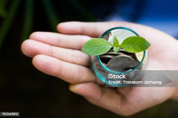 Foto de Planta Crescendo De Dinheiro No Pote De Vidro Realizada Pelas Mãos De Um Homem Negócios E Conceito De Metáfora Financeira e mais fotos de stock de Dar