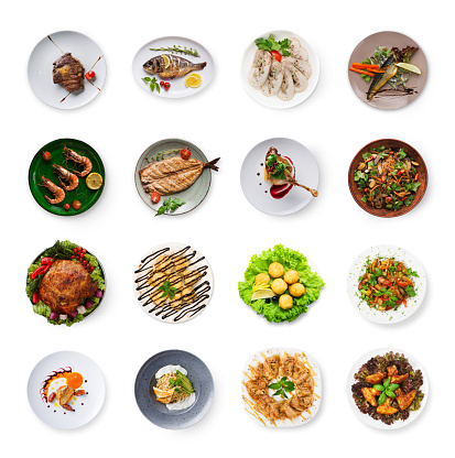 Set of various restaurant meals isolated on white background. Collage of different main courses and salads, meat and fish dishes with garnish, cutout, business lunch concept