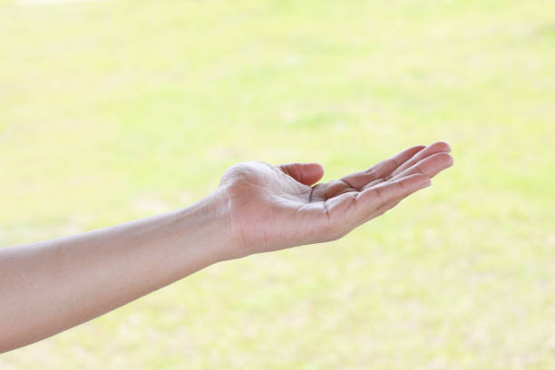 istock Woman hand isolated on green background 953475598