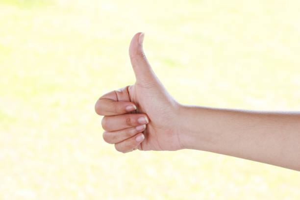 istock Woman hand isolated on green background 953475614