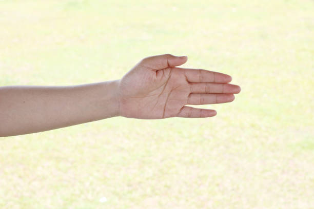 istock Woman hand isolated on green background 953475626