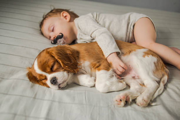istock baby and puppy taking a power nap 953476140