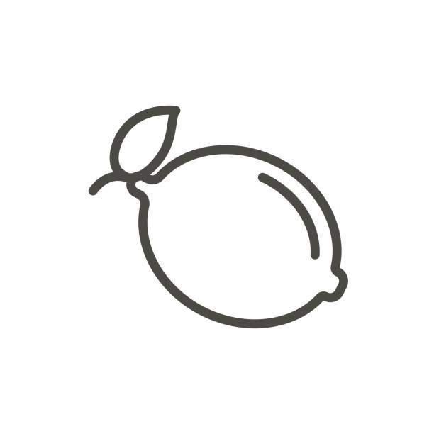 Lemon Icon Vector Outline Citrus Line Lemon Symbol Stock