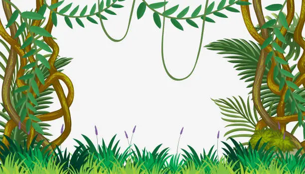 Vector illustration of A Jungle Template with Vine