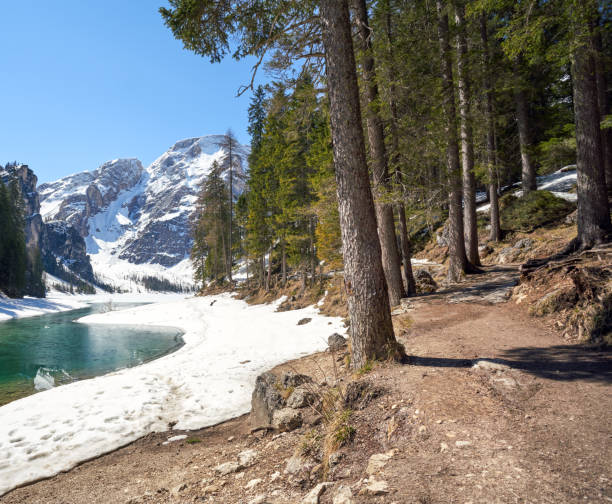 lago di braies-pragser wildsee ze śniegiem, dolomity południowy tyrol, włochy - melting spring snow trentino alto adige zdjęcia i obrazy z banku zdjęć