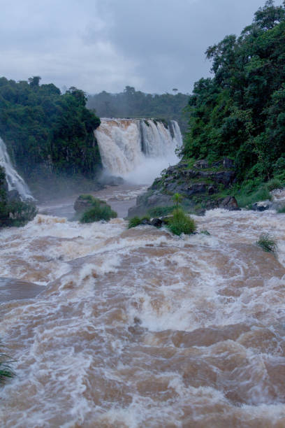 istock Iguazu river between Brazil and Argentina 953481524