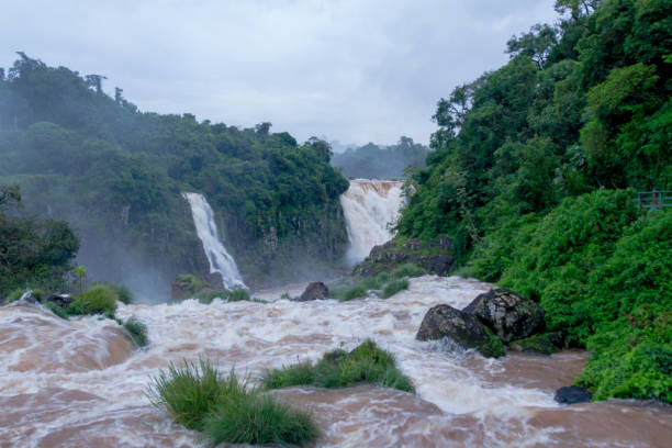 istock Iguazu river between Brazil and Argentina 953481574