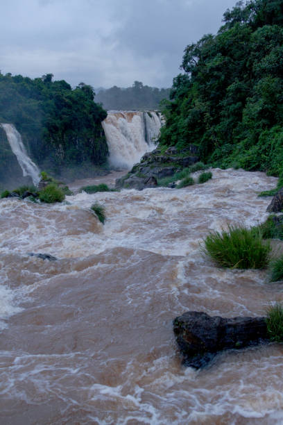 istock Iguazu river between Brazil and Argentina 953481584