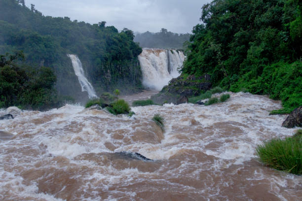 istock Iguazu river between Brazil and Argentina 953481596