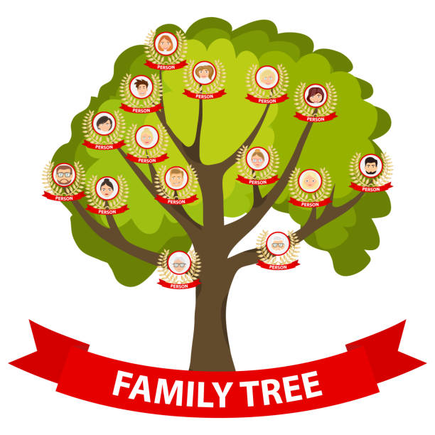 Genealogy tree, family tree with portraits of the family. Genealogy tree, family tree with portraits of the family. Flat design, vector illustration, vector. pics of family tree chart stock illustrations