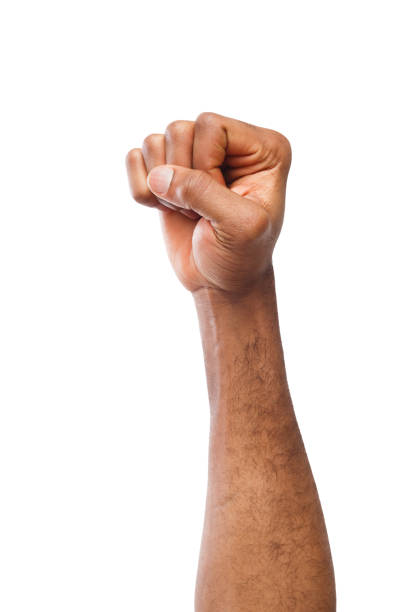 istock Male black fist isolated on white background 953482488