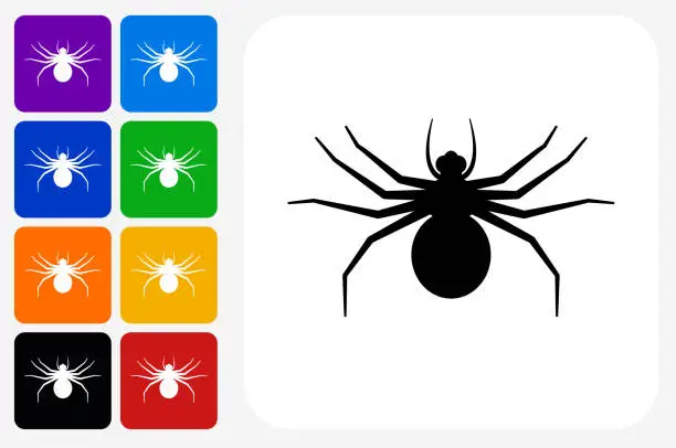 Vector illustration of Big Spider Icon Square Button Set