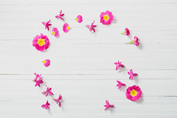 istock pink spring flowers on white wooden background 953498046