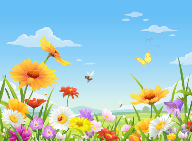 illustrations, cliparts, dessins animés et icônes de fleurs de belle prairie sauvage - spring grass cloud butterfly