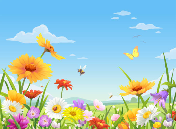 piękne dzikie łąki kwiaty - spring grass cloud butterfly stock illustrations