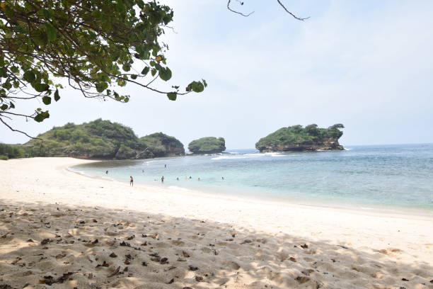 istock South coast of Java island has a steep natural contours 953505768