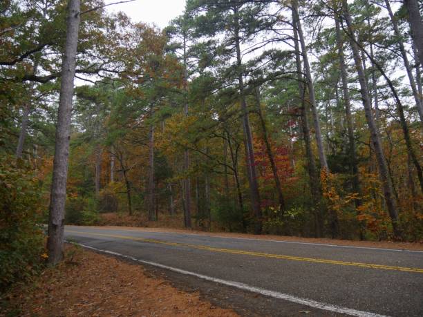 istock Colorful scenery at the Talimena scenic drive 953522064