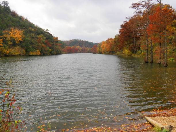 istock Majestic Mountain Fork river on a beautiful day in autumn 953524358