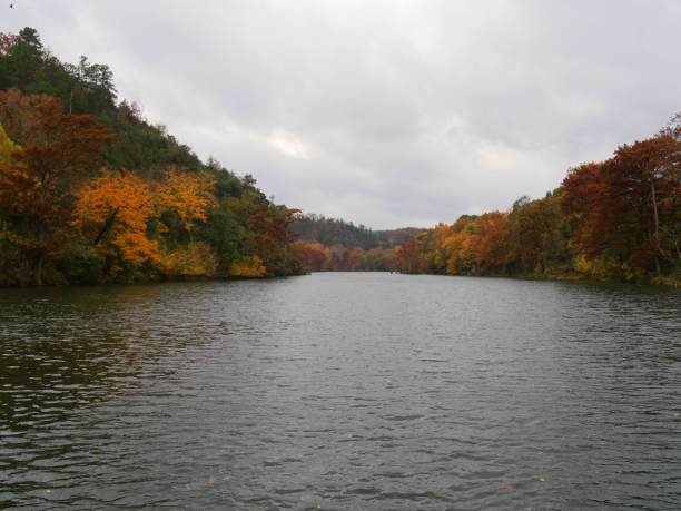istock Tranquil waters of the Mountain Fork riverbanks bordered by colorful trees on a beautiful autumn day 953524914