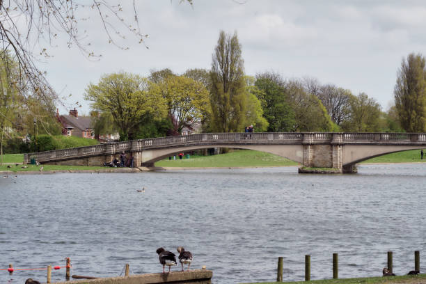 istock EAST PARK HULL YORKSHIRE 953526858