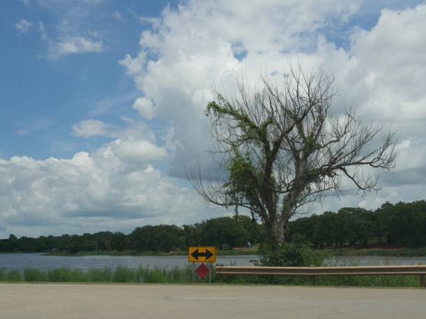 ein teilweise blattlosen baum zeichnet sich über die guthrie-see an einem bewölkten tag - oklahoma sign road sign sky stock-fotos und bilder