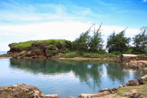 istock Clear green waters of Inarajan Lagoon 953530342