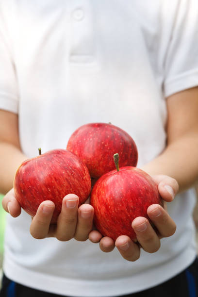 istock Unrecognizable child holding red apples in hands 953537458