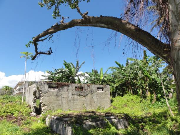 istock Ruins of an old jail 953553710