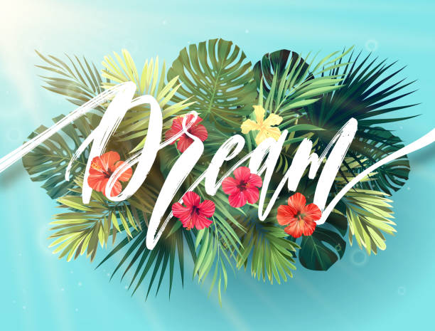 130,900+ Tropical Beach Illustrations, Royalty-Free Vector Graphics ...